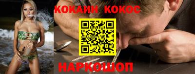 крисы Краснодар