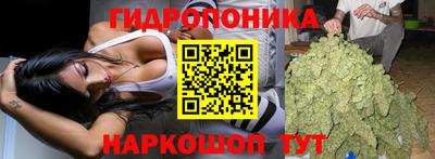 молекула духа Краснознаменск