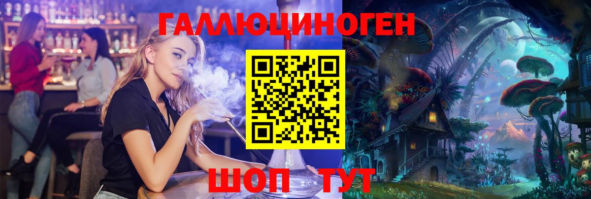 Псилоцибиновые грибы Psilocybe Ирбит