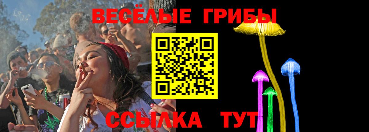 Псилоцибиновые грибы MAGIC MUSHROOMS  Галлюциногенные грибы прущие грибы  Ирбит  Вход с VPN 